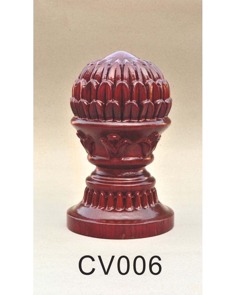 CV 006